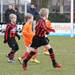 zundert_e4_28-02-2015_014.jpg