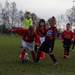 zundert_minis_wernhout_minis_2015_033.jpg