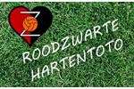 Rood zwarte harten TOTO